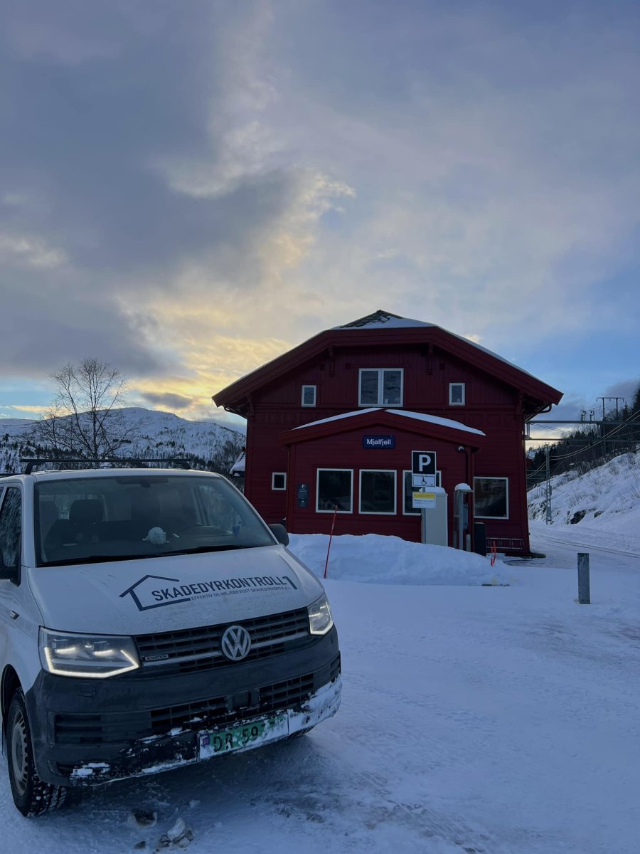 Skjeggkre Inspektør i Oslo
