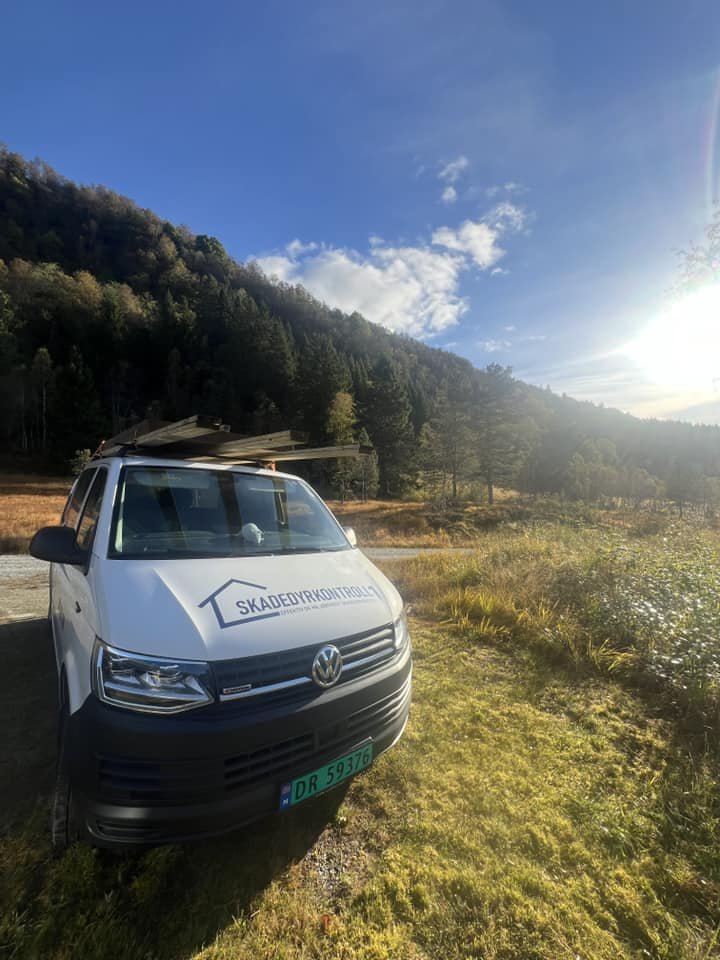 skadedyrkontroll1bil4.jpg