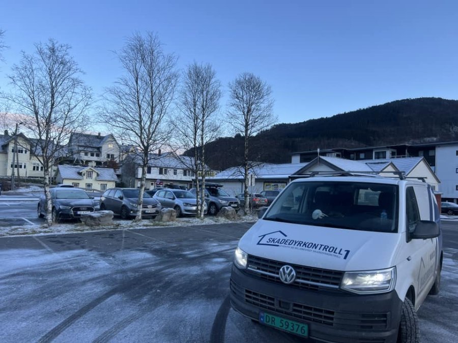 Skjeggkre i næringsbygg