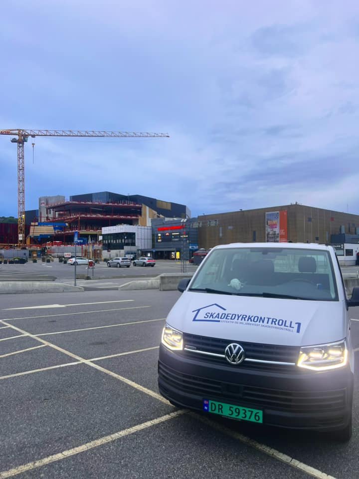 Skadedyrkontroll1 bil